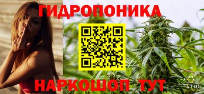 2c-b Будённовск