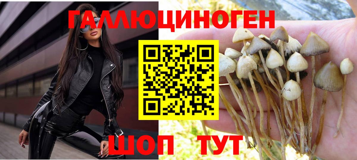 магазин продажи наркотиков  Псилоцибиновые грибы Magic Shrooms  Вход с VPN  Чусовой 